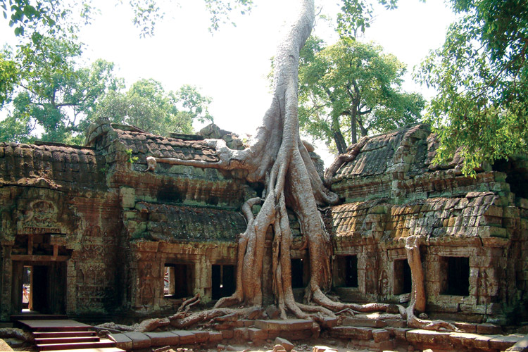 Amawaterways Ta Prohm